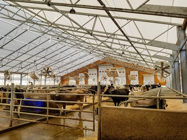 Bradner Farms Dairy Operations