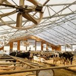 Bradner Farms Dairy Operations