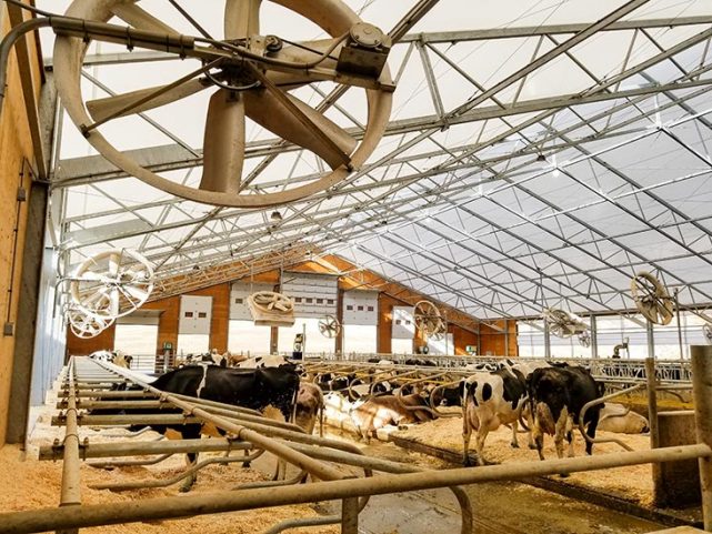Bradner Farms Dairy Operations