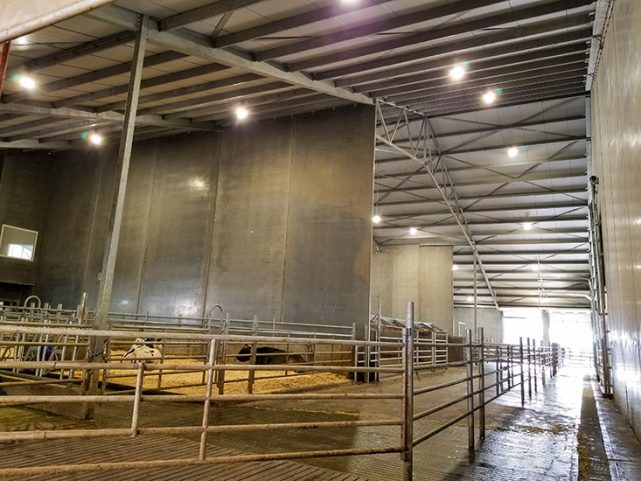 Bradner Farms Dairy Operations