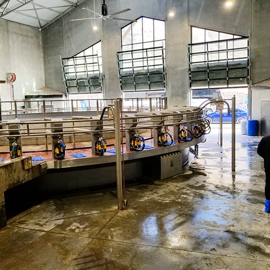 Bradner Farms Dairy Operations Bradner Farms Dairy Operations