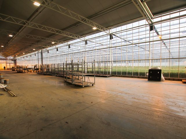 Dutch Heritage Greenhouse