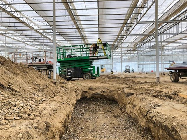 Qualitree Greenhouses