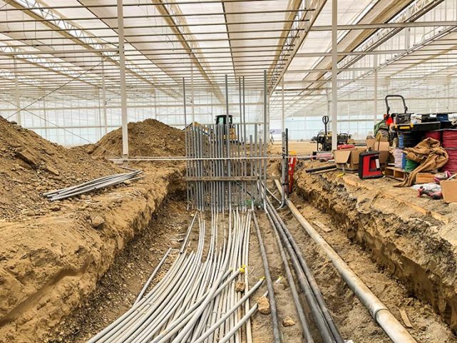 Qualitree Greenhouses