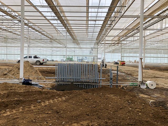 Qualitree Greenhouses