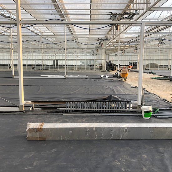 Qualitree Greenhouses Qualitree Greenhouses