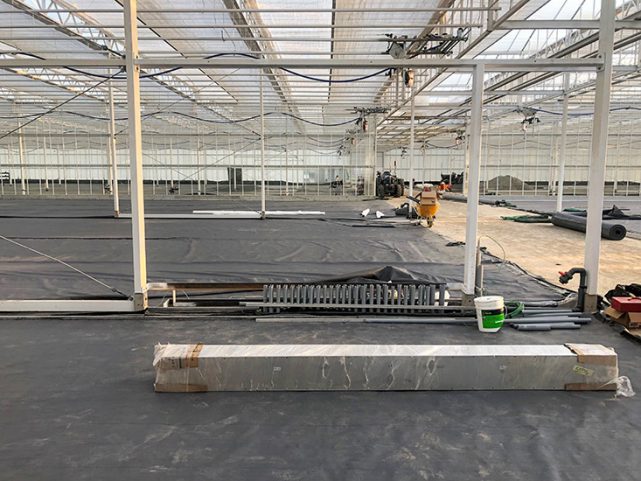 Qualitree Greenhouses