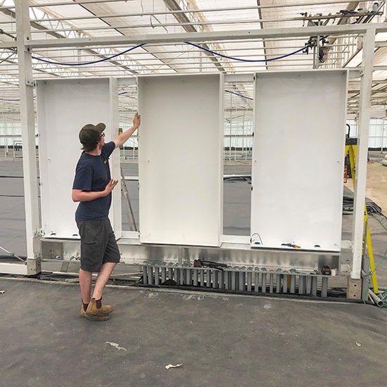 Qualitree Greenhouses Qualitree Greenhouses