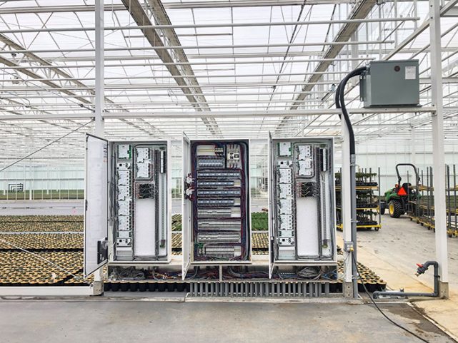 Qualitree Greenhouses