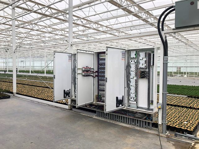 Qualitree Greenhouses