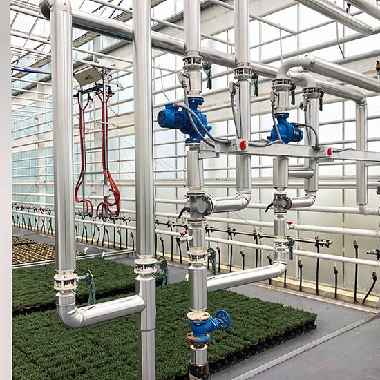 Qualitree Greenhouses Qualitree Greenhouses