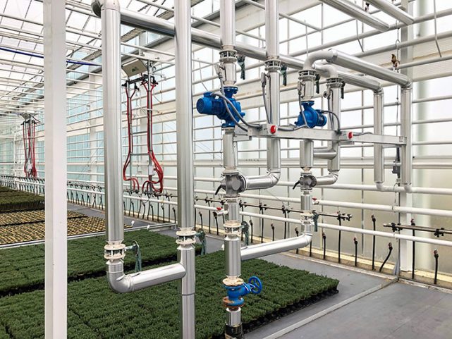 Qualitree Greenhouses