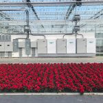 Rainbow Greenhouses