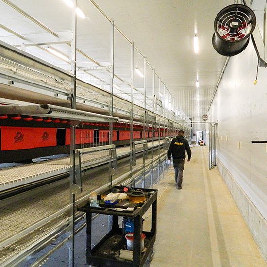 Conation Farms Layer Barn Conation Farms Layer Barn