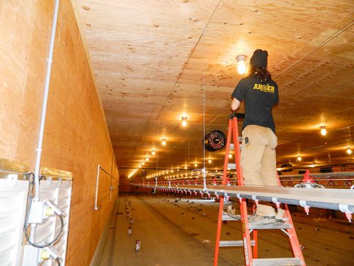 Fraser Valley Specialty Poultry