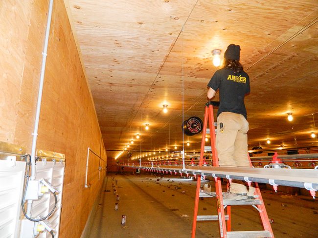 Fraser Valley Specialty Poultry