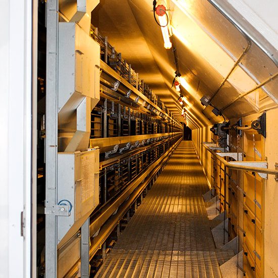 Paragon Farms Paragon Farms