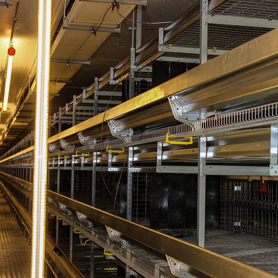 Paragon Farms Paragon Farms