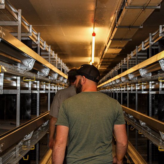 Paragon Farms Paragon Farms