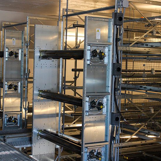 Paragon Farms Paragon Farms