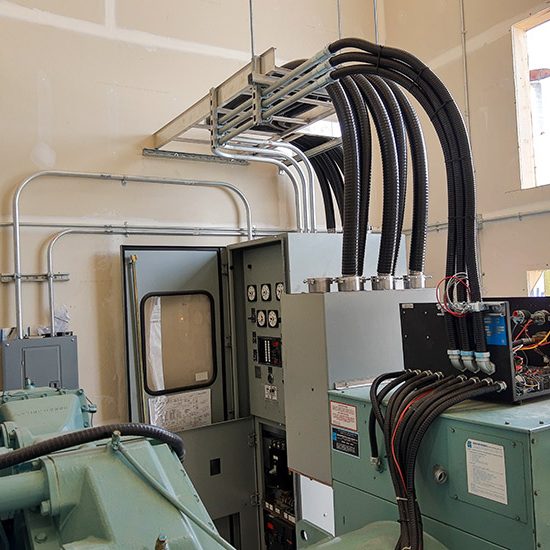 Mushroom Farm Mushroom Farm