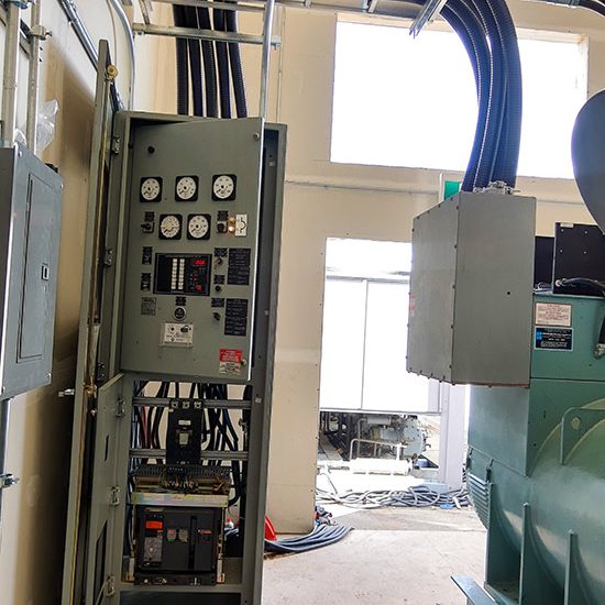 Mushroom Farm Mushroom Farm