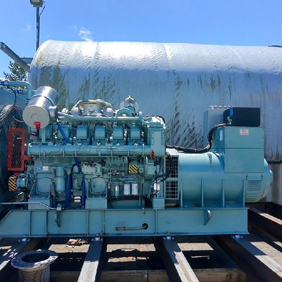 Mushroom Farm Mushroom Farm