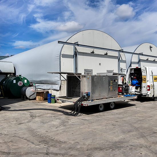 Mushroom Farm Mushroom Farm