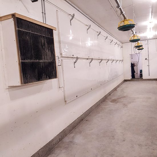 Rehoboth Farms Rehoboth Farms