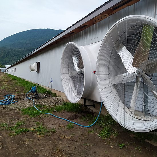 Rehoboth Farms Rehoboth Farms