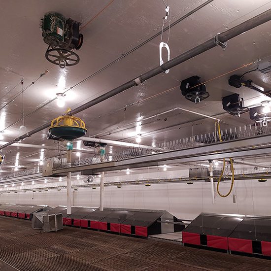 Rehoboth Farms Rehoboth Farms